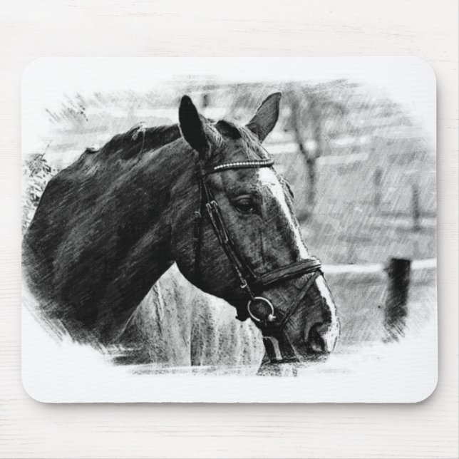 Black White Horse Sketch Musmatta (Framsidan)
