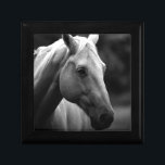 Black White Horse Smyckeskrin<br><div class="desc">Black White Horse Photo Artwork</div>