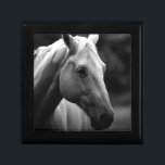 Black White Horse Smyckeskrin<br><div class="desc">Black White Horse Photo Artwork</div>