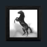 Black White Horse Smyckeskrin<br><div class="desc">Vild Horses Digital Artworks,  Paintings,  Bilder och Bilder</div>