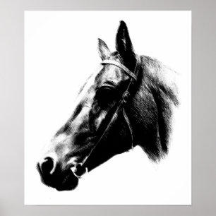 Black White Horse Teckning Artwork Poster
