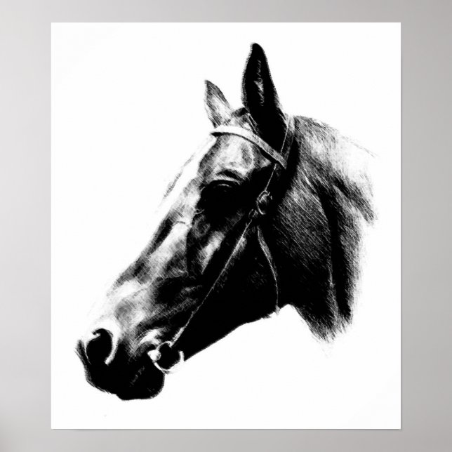Black White Horse Teckning Artwork Poster (Framsidan)
