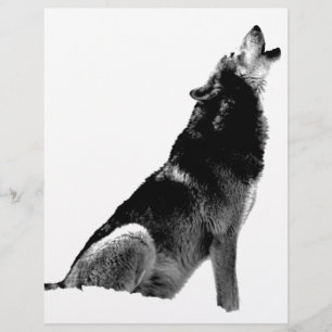 Black White Howling Varg