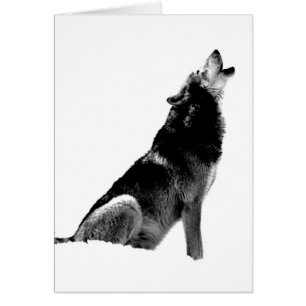 Black White Howling Varg Hälsningskort