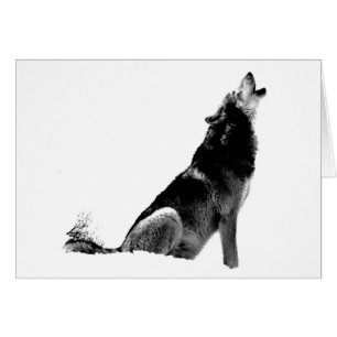 Black White Howling Varg Hälsningskort