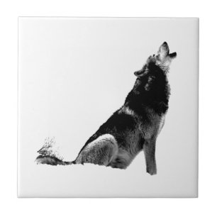 Black White Howling Varg Kakelplatta