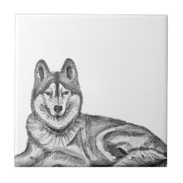 Black & White Ink & Watercolor Siberian Husky Kakelplatta