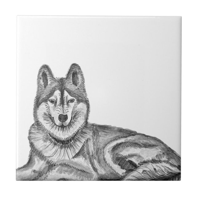Black & White Ink & Watercolor Siberian Husky Kakelplatta (Framsidan)