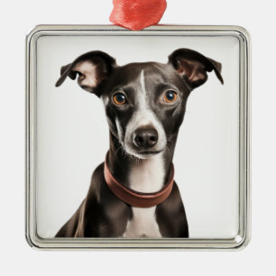 BLACK & WHITE ITALIAN GREYHOUND HUND JULGRANSPRYDNAD METALL