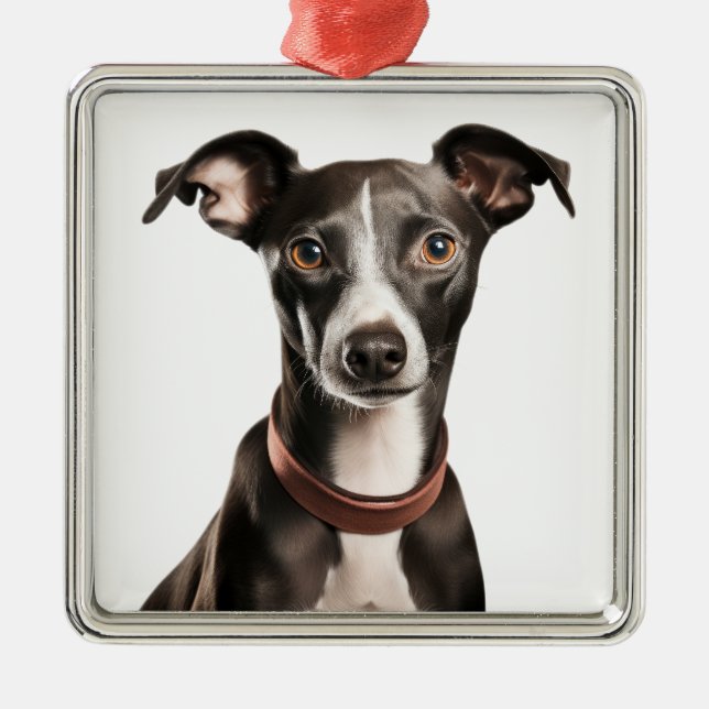 BLACK & WHITE ITALIAN GREYHOUND HUND JULGRANSPRYDNAD METALL (Framsidan)