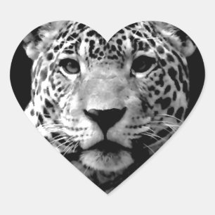 Black & White Jaguar Hjärtformat Klistermärke