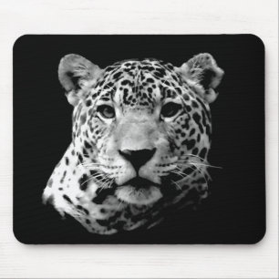 Black & White Jaguar Musmatta