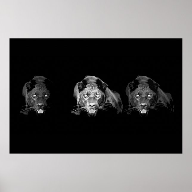 Black & White Jaguar Poster - Vild katt (Framsidan)