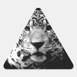 Black & White Jaguar Triangelformat Klistermärke