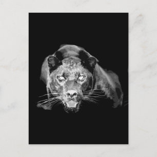 Black & White Jaguar-Vild katt Vykort