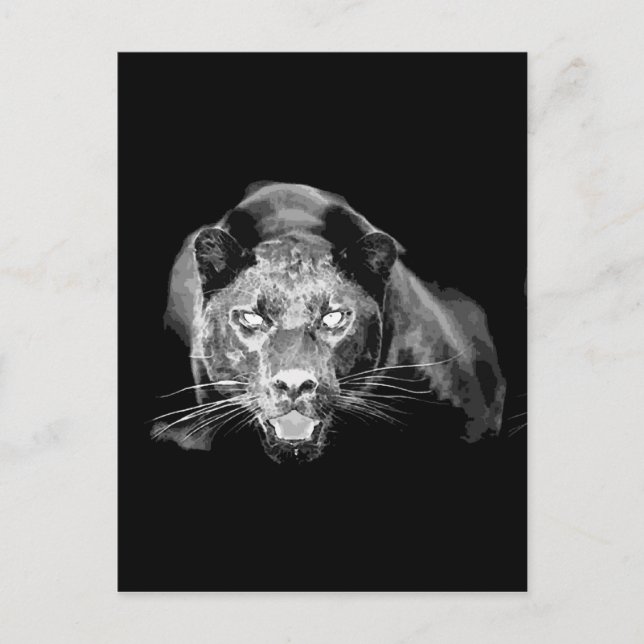 Black & White Jaguar-Vild katt Vykort (Framsida)