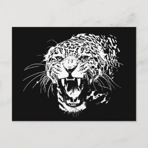 Black & White Jaguar Vykort