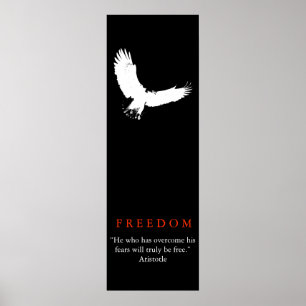 Black White Landing Örn Silhouette Poster