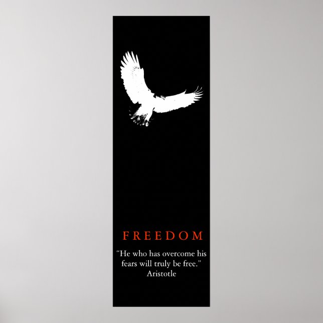 Black White Landing Örn Silhouette Poster (Framsidan)