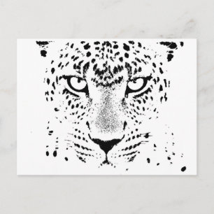 Black & White Leopard Öga Vykort