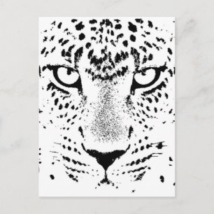 Black & White Leopard Öga Vykort