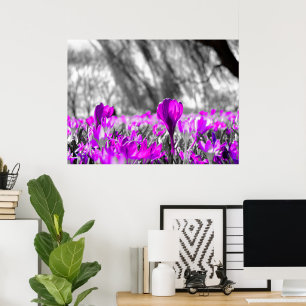 Black White Lila Flower Monochrome Poster