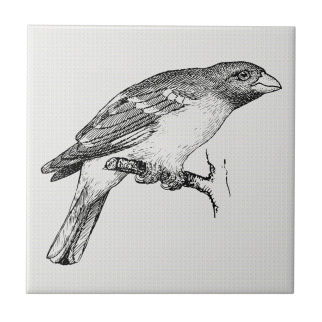 Black & White Line Teckning Bird Kakelplatta (Framsidan)