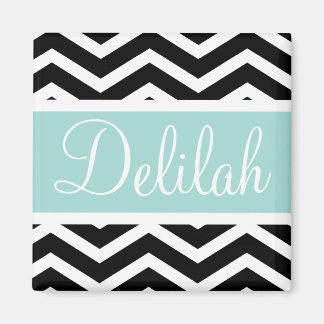 Black White Mint Turkvoise Chevron Anpassningsbar Magnet