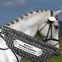 Black White Mönster Horse Show Mane Svan Braiding