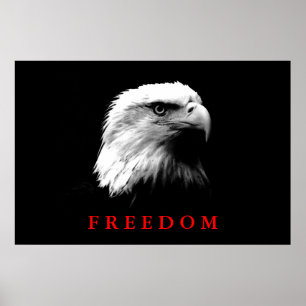 Black White Motivational Freedom Eagle Ögon Poster