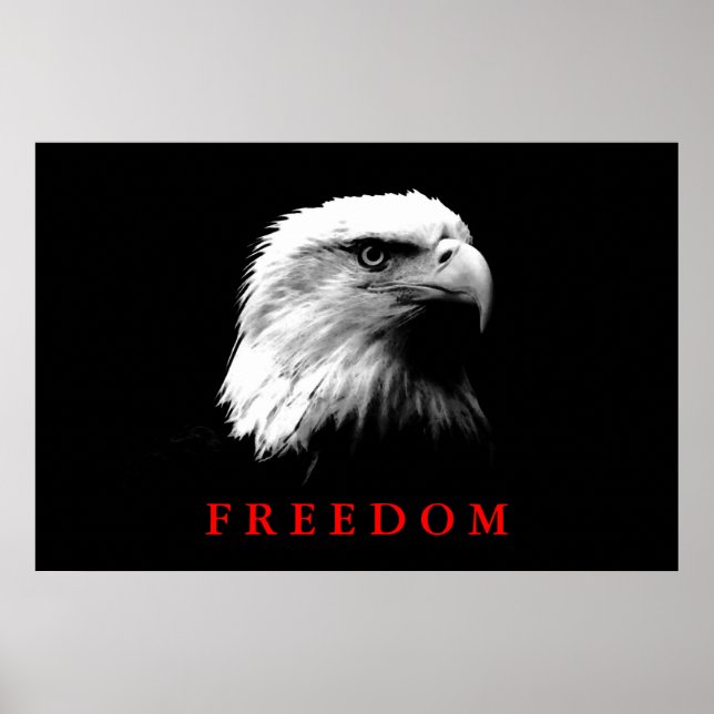 Black White Motivational Freedom Eagle Ögon Poster (Framsidan)