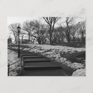 Black White NY Central Park Vykort
