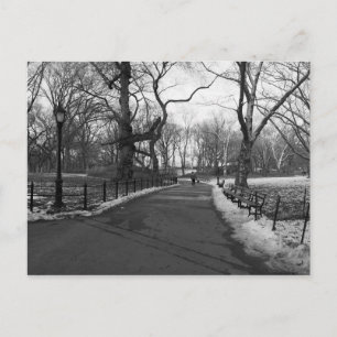 Black White NY Central Park Vykort