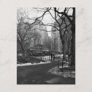 Black White NY Central Park Vykort