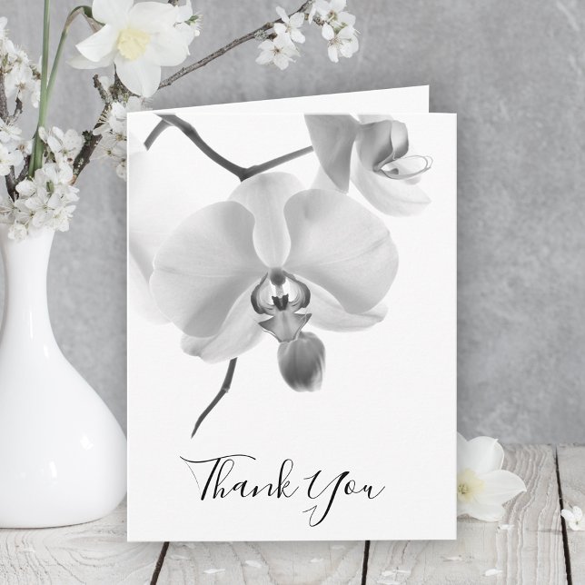 Black White Orchids på Stem Sympathy Tack (Skapare uppladdad)