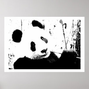 Black & White Panda Ansikte Poster utskrifter