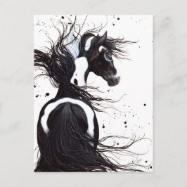 Black White Pinto Paint Horse by Bihrle Post Card Vykort