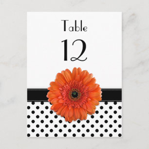 Black White Polka Dot Orange Gerber Bord Card Vykort