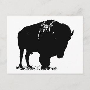 Black & White Pop Art Bison Buffalo Vykort