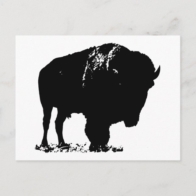 Black & White Pop Art Bison Buffalo Vykort (Framsida)