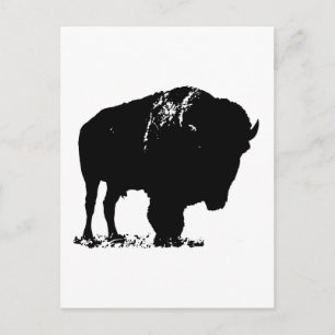 Black & White Pop Art Bison Buffalo Vykort