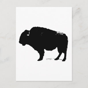 Black & White Pop Art Buffalo Bison Vykort