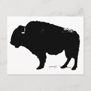 Black & White Pop Art Buffalo Bison Vykort