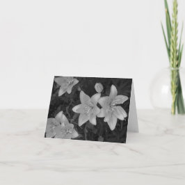 Black & White Prairie Lilies Foleting Card Kort