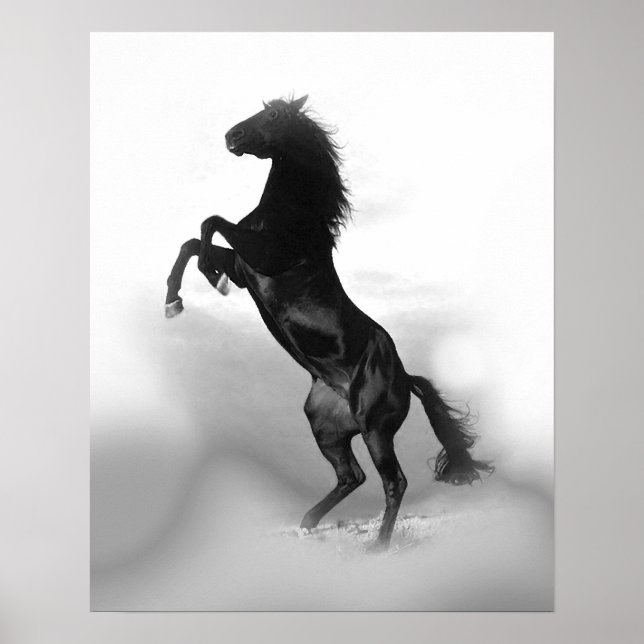 Black White Rearing Horse Freedom Poster (Framsidan)