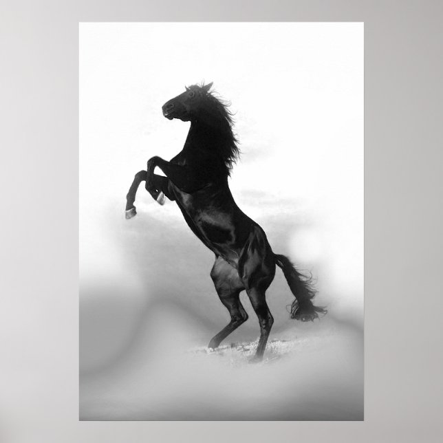 Black White Rearing Horse Poster (Framsidan)