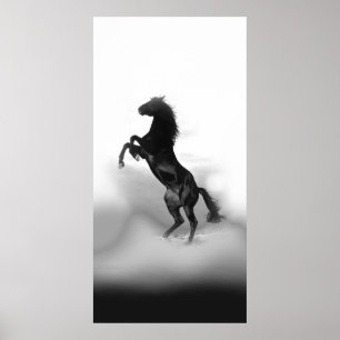 Black White Rearing Horse Poster