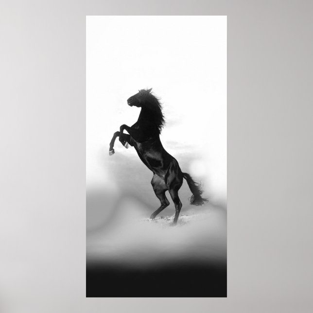 Black White Rearing Horse Poster (Framsidan)