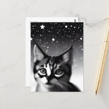 Black & White Retro Stars Kitten
