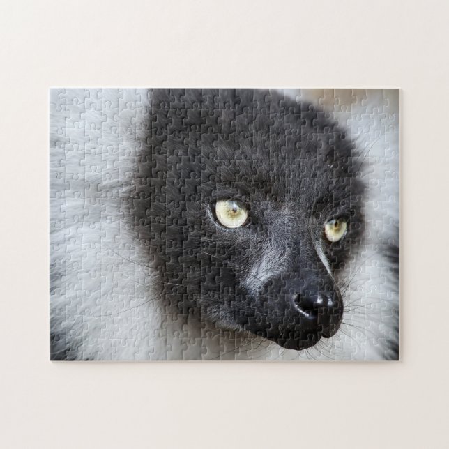 Black & White Ruffed Lemur, Jigszawa Puzzle Pussel (Horisontell)